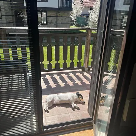 Apartament три планини ап113 Razlog