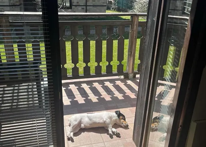 Apartamento три планини ап113 Razlog